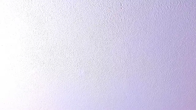 amyyblake's cam snapshot