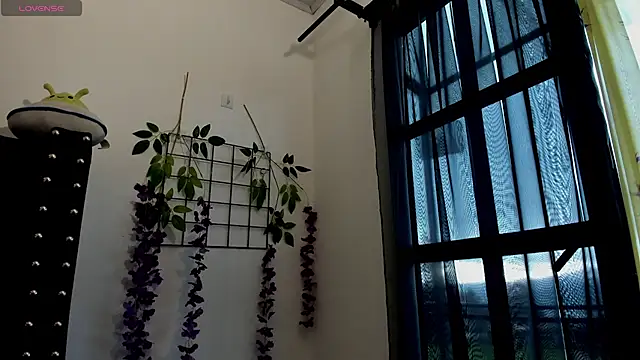 Midory_6's cam snapshot