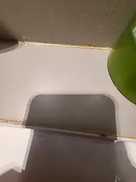 Petitchaton69 live sex cam