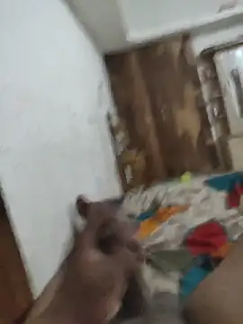 desiboyarya live sex cam