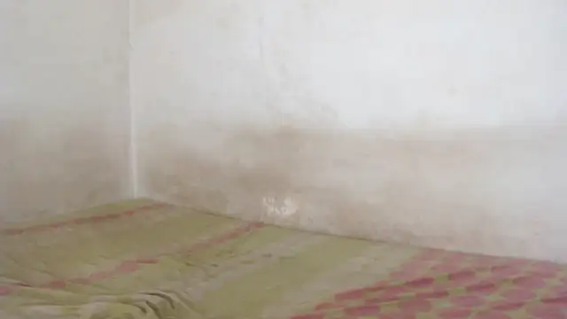 Majo_BigTits live sex cam