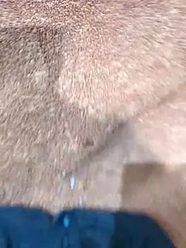 domjoab live sex cam