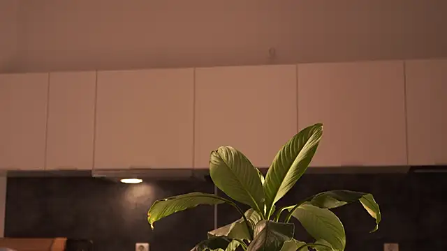 EleniRoeber live sex cam