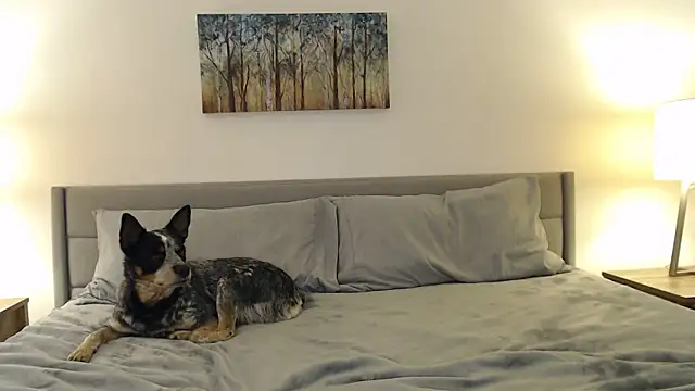 fallongrayxo's cam snapshot