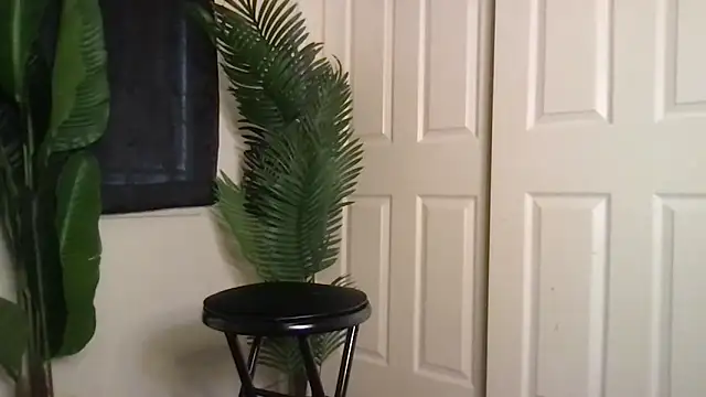 bambinokitt3n's cam snapshot