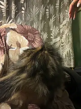 Arina_Bloom's cam snapshot