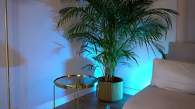 Tinydoll_XO's cam snapshot