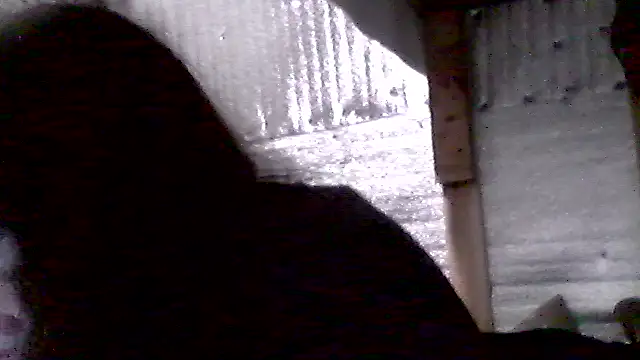 AllinaKis's cam snapshot