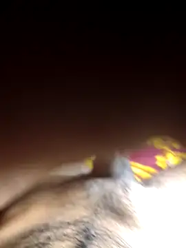 bengali_hard_dick12's cam snapshot