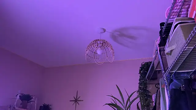 _vixenp live sex cam