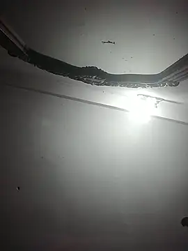 momo_loves's cam snapshot