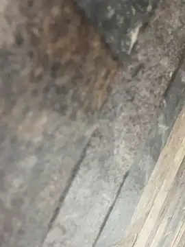 Abby__LS's cam snapshot