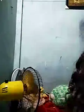 Anikaislam's cam snapshot