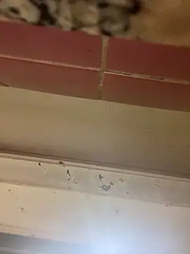 Petebulimia live sex cam