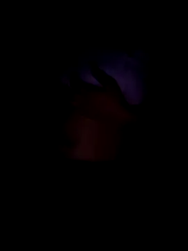 Cute-aryaa live sex cam