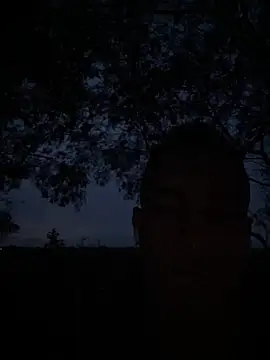 Maicol_xxxx live sex cam