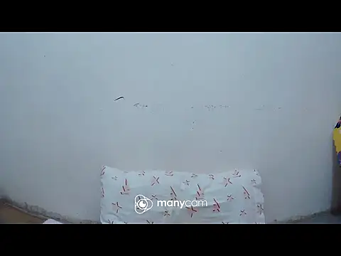 hottiemama69's cam snapshot