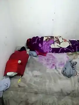 Collegepapi live sex cam