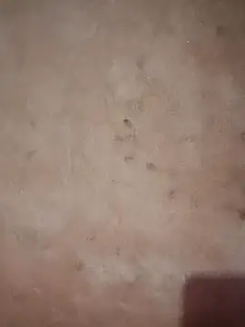 cuunon11's cam snapshot