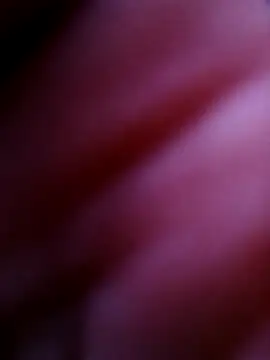 Hrnyallthetime live sex cam