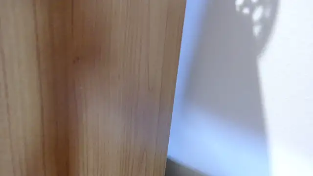 Pamela-StripX's cam snapshot