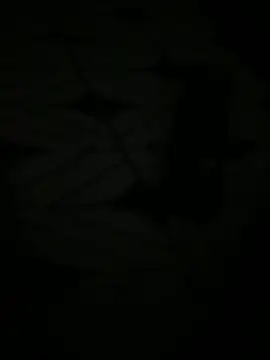 Crevette311's cam snapshot