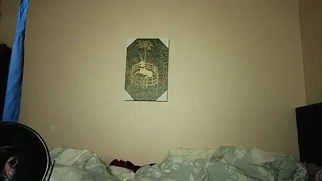 hailzeffn's cam snapshot