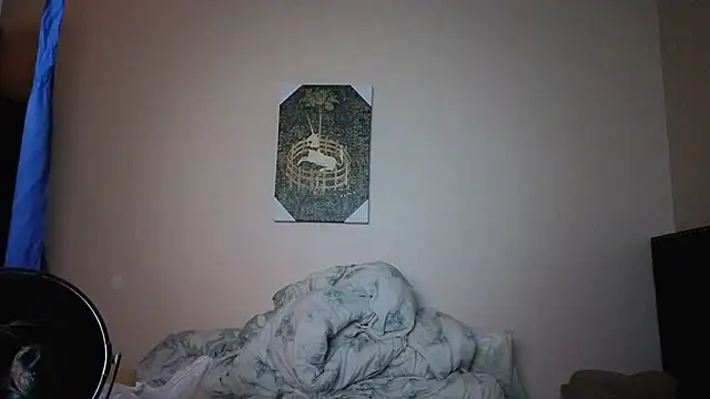 hailzeffn's cam snapshot