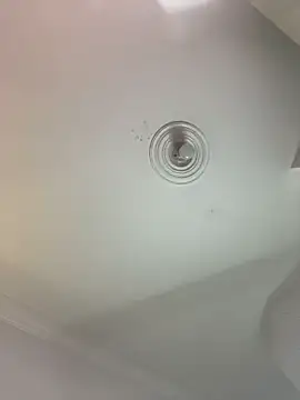 MiilaBlake's cam snapshot