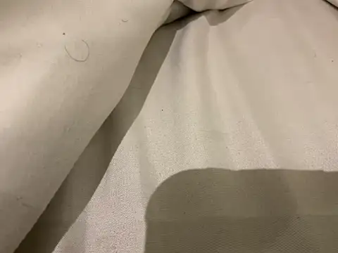 delhi_real_bull's cam snapshot