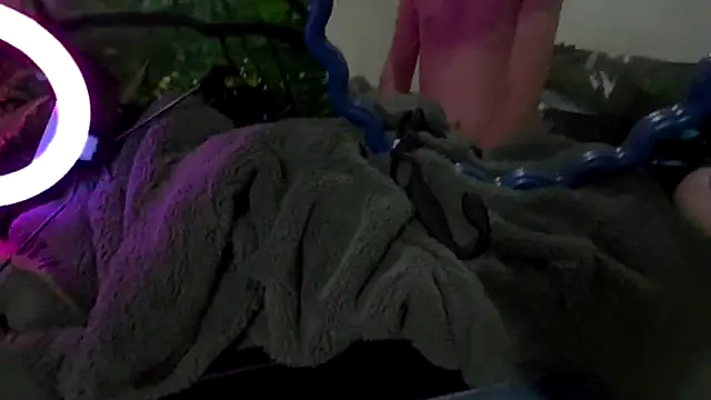 welcome-to-the-jungle's cam snapshot