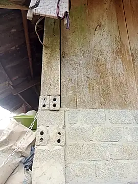 Noelle-e's cam snapshot