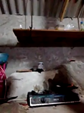 donna-bae's cam snapshot