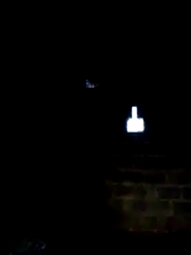 bella-la's cam snapshot