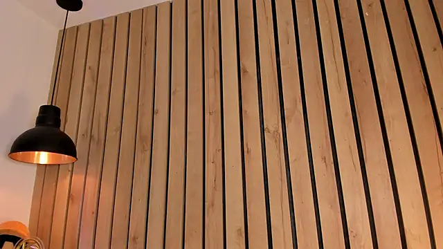 sofiesoft's cam snapshot