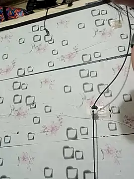 Sana-vn's cam snapshot