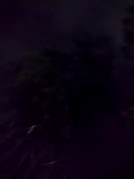 socrathes's cam snapshot