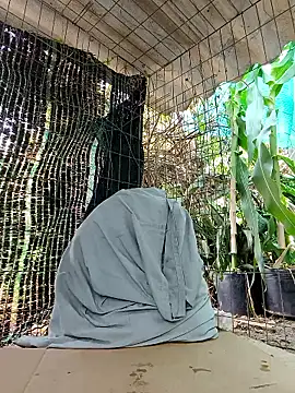 Hivi_09's cam snapshot