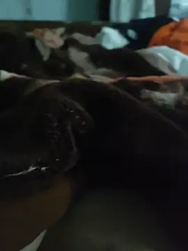 amirMohamed58 live sex cam