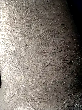 jellydicks live sex cam