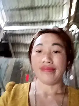 seacyre's cam snapshot