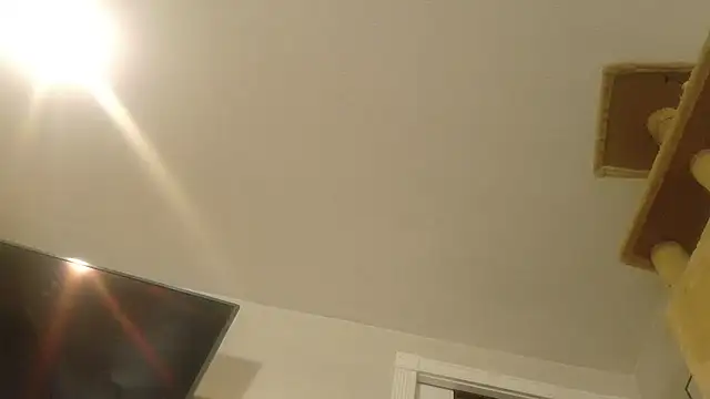 publicfun206xxx's cam snapshot