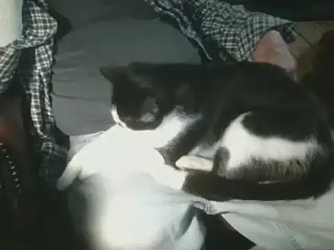 subballsboy's cam snapshot