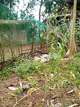 muamua99's cam snapshot