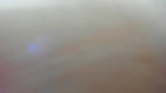 Jelly_Bee's cam snapshot