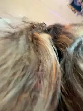 crystal_bunny7 live sex cam