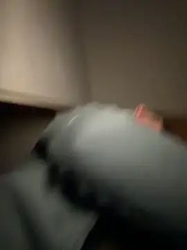 vinique99 live sex cam