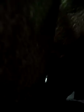 Dilkash77719's cam snapshot