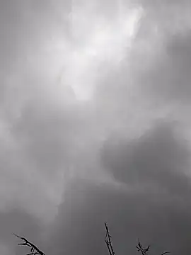 Hoa-tuylip live sex cam