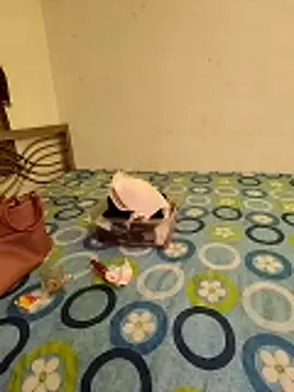 Cute_Kritika live sex cam